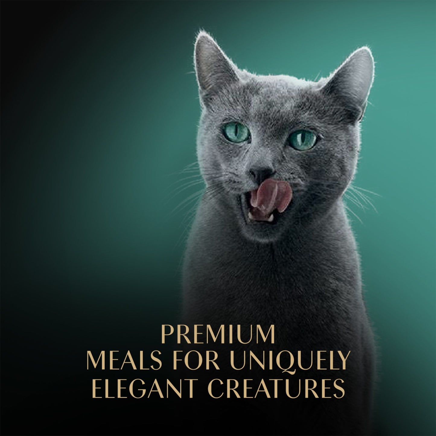 Sheba Perfect Portions Cuts In Gravy Variety Pack Wet Cat Food, 2.6 Oz Twin-Pack Trays (18 Count)