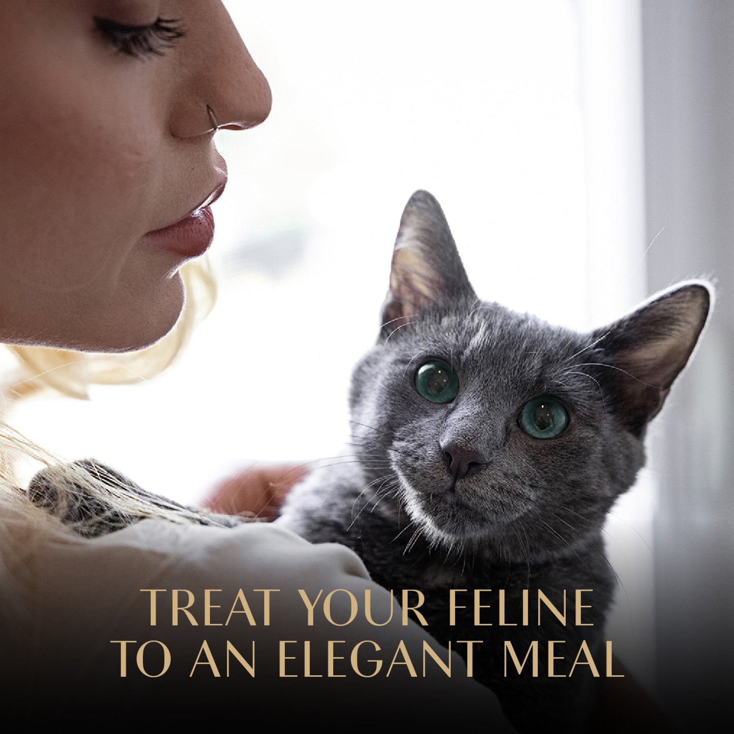 Sheba Wet Cat Food Cuts in Gravy Tender Trout Entree, 2.6 oz Perfect Portions Twin-Pack Tray