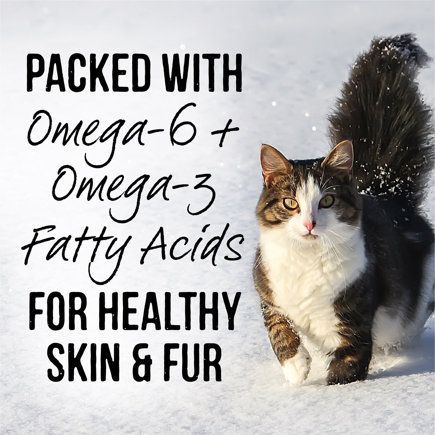 Merrick Backcountry, Variety Pack, Wet Cat Food, 3 oz Pouches, 12 Pack