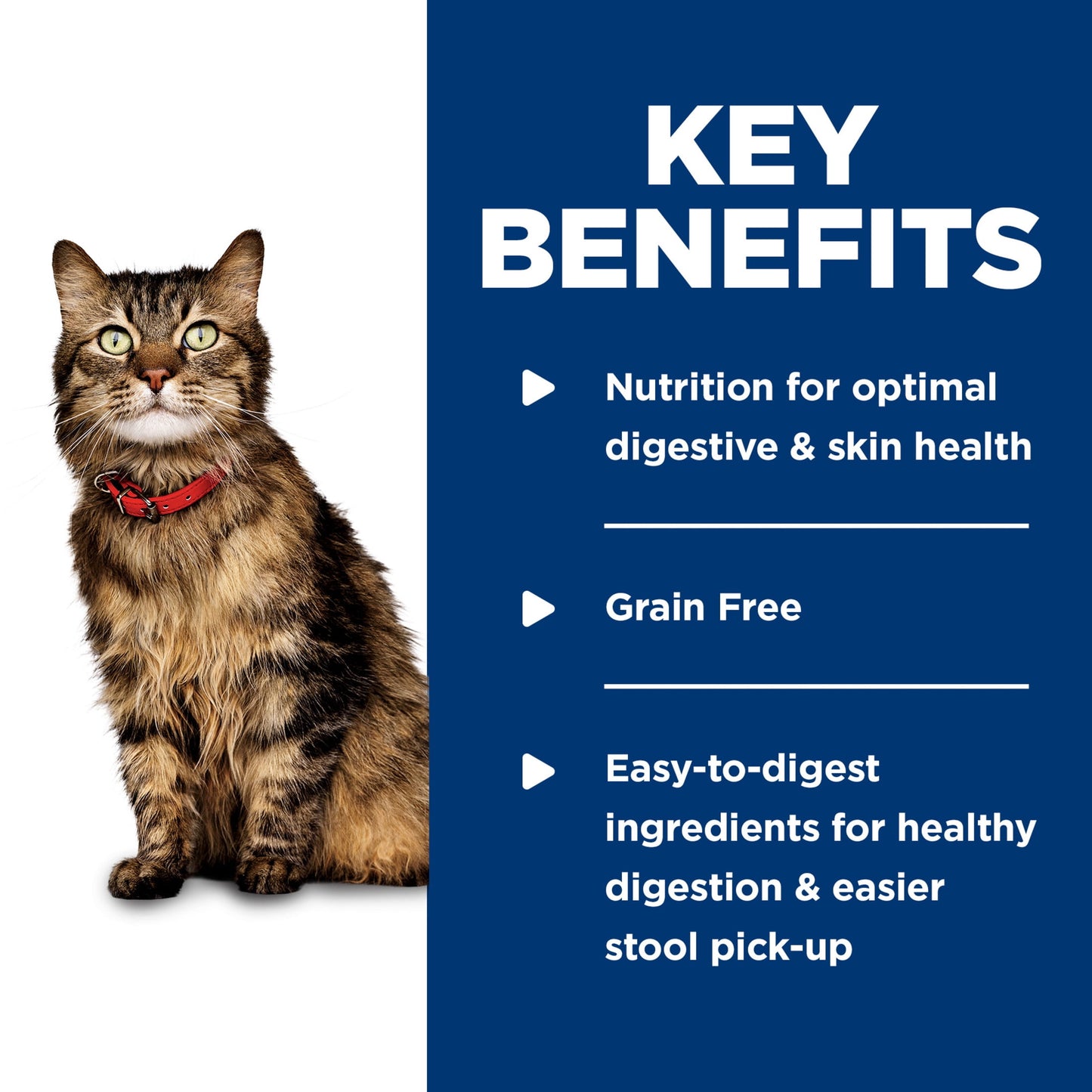Hill's Science Diet Sensitive Stomach & Skin Chicken & Vegetable Wet Cat Food, 2.9oz Can 24pk