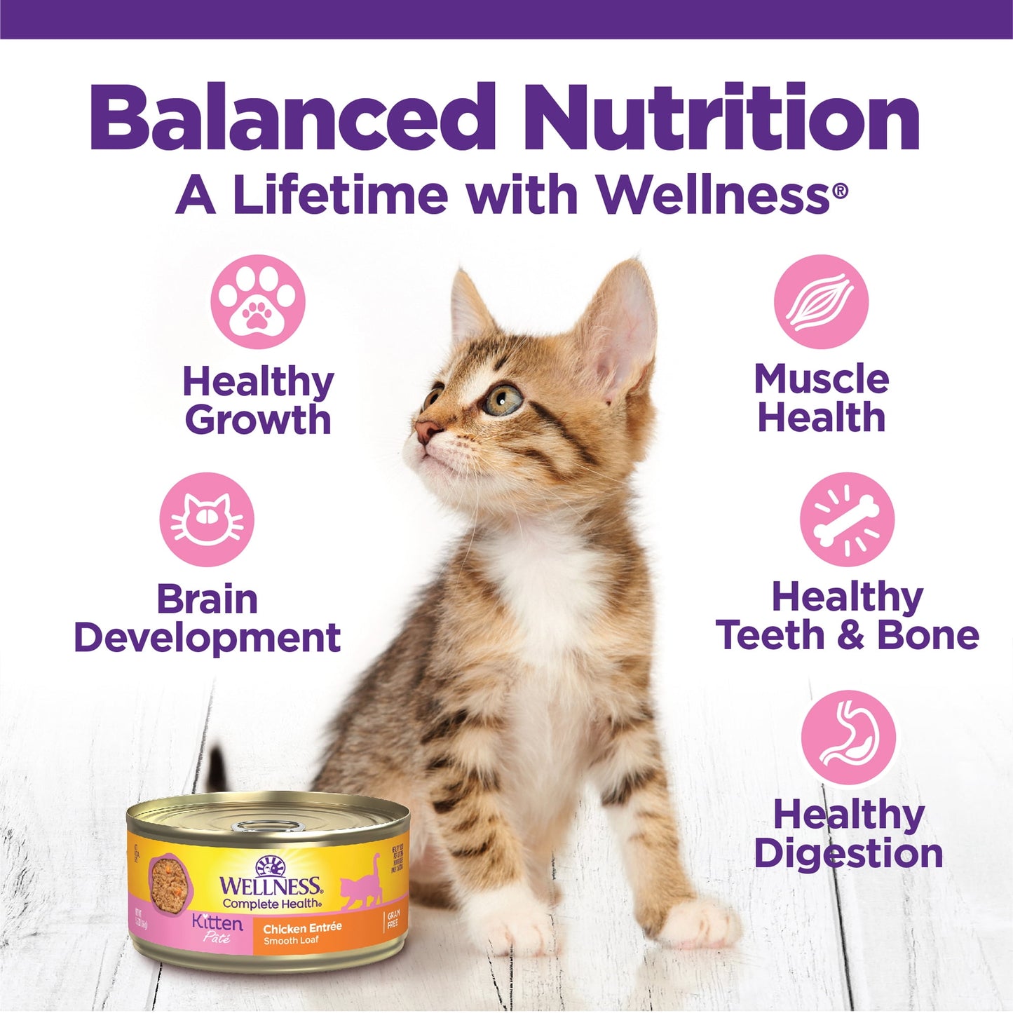 Wellness Complete Health Kitten Wet Cat Food, Chicken Entree Recipe, 5.5oz Can, Pack of 24
