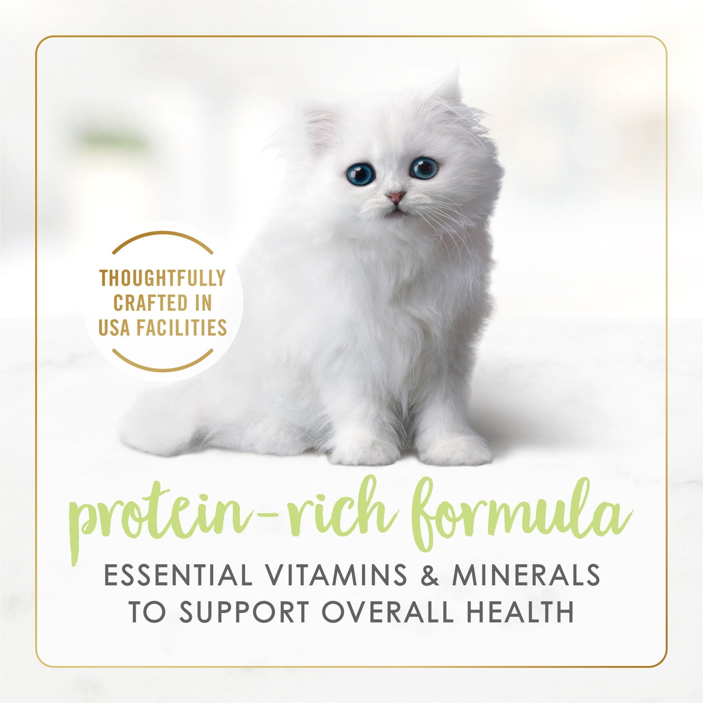 (12 pack) Purina Fancy Feast Kitten Food, Wet Cat Food, Tender Turkey Feast, 3 oz Can