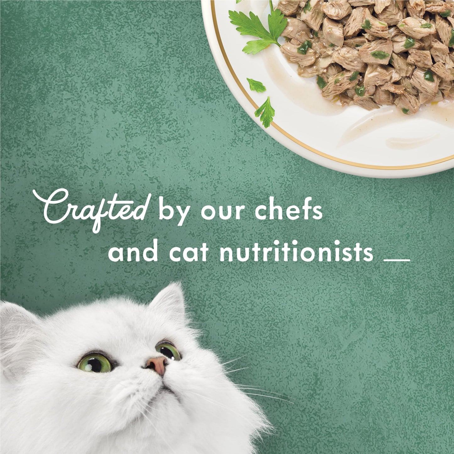 Purina Fancy Feast Medleys Kitten Food, Wet Cat Food, Chicken Florentine & Spinach, 3 oz Can