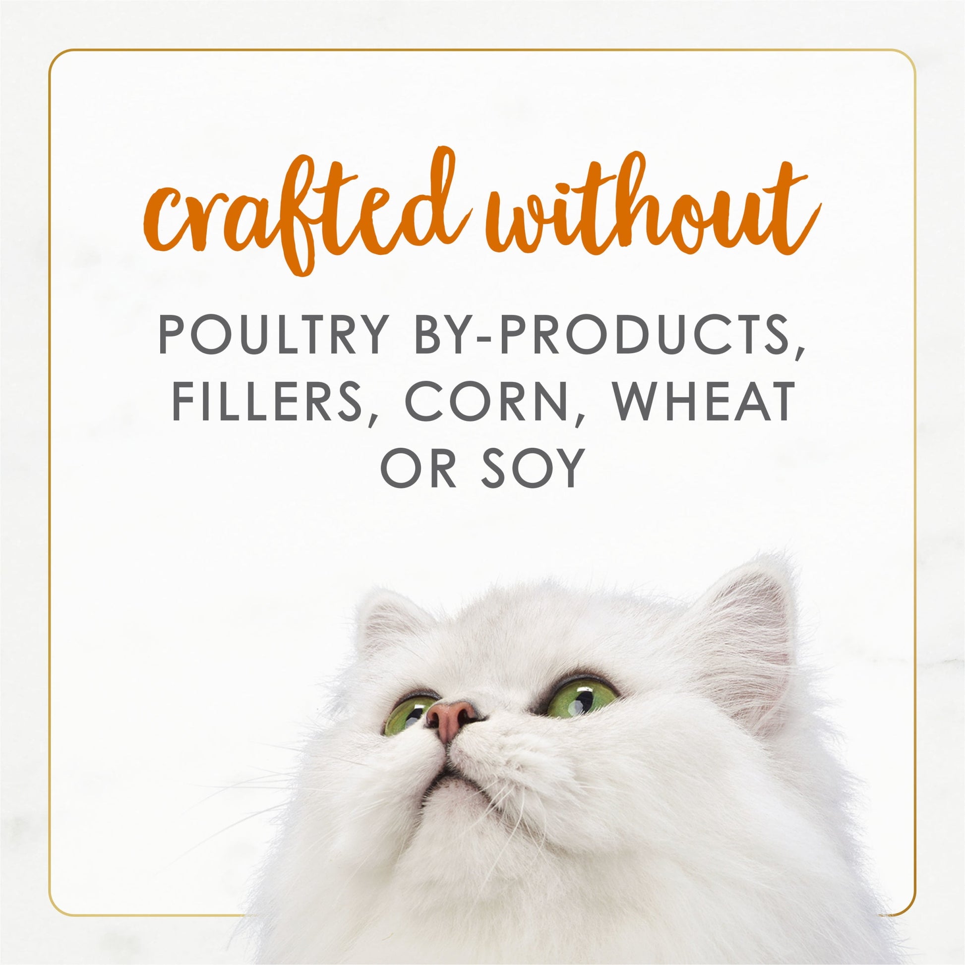 Purina Fancy Feast Gourmet Naturals Wet Cat Food Salmon, 3 oz Cans (12 Pack)