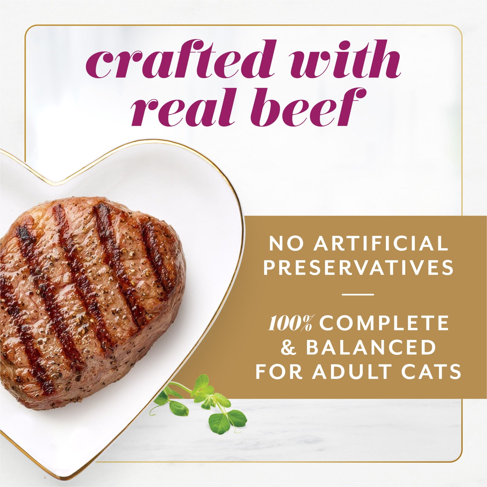 Purina Fancy Feast Gems Wet Cat Food Mousse Pate with Beef and Halo of Savory Gravy (2) 2 oz Tubs