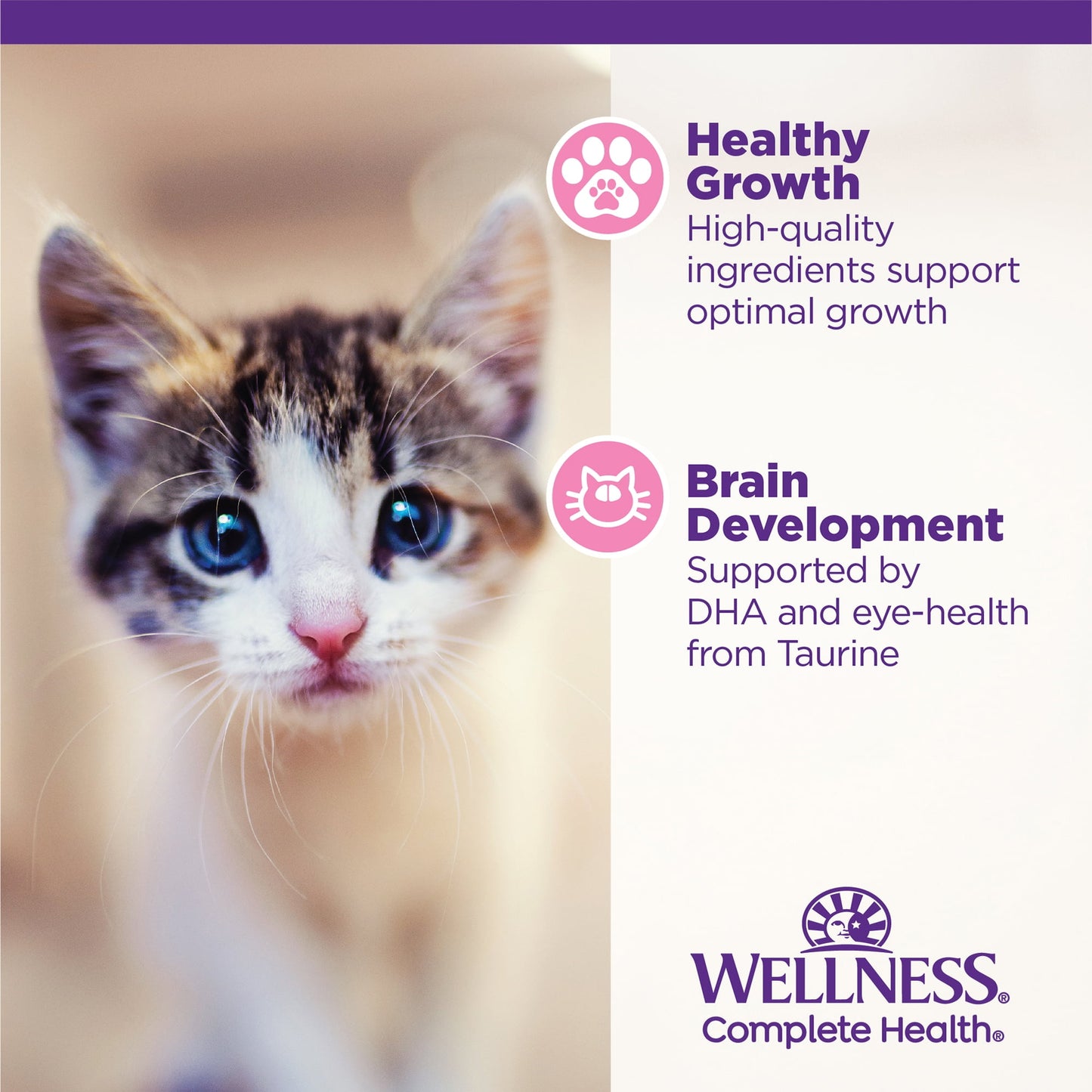 Wellness Complete Health Kitten Wet Cat Food, Chicken Entree Recipe, 5.5oz Can, Pack of 24