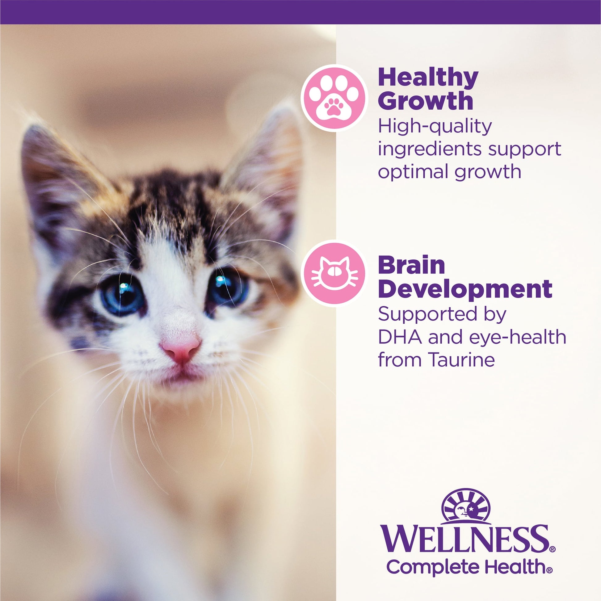 Wellness Complete Health Kitten Wet Cat Food, Chicken Entree Recipe, 5.5oz Can, Pack of 24