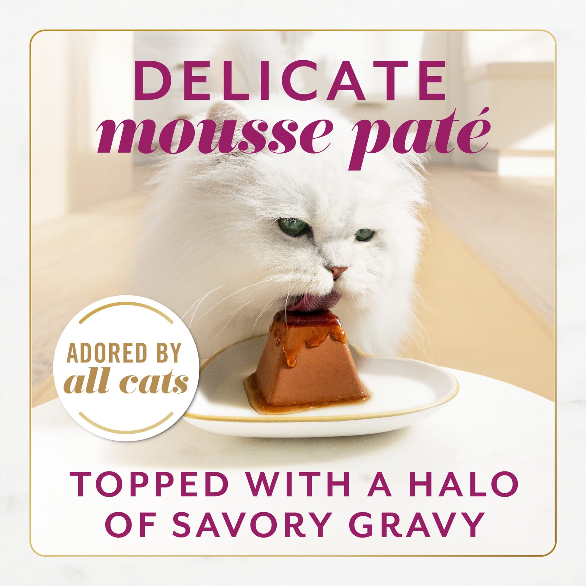 Purina Fancy Feast Gems Wet Cat Food Mousse Pate with Beef and Halo of Savory Gravy (2) 2 oz Tubs