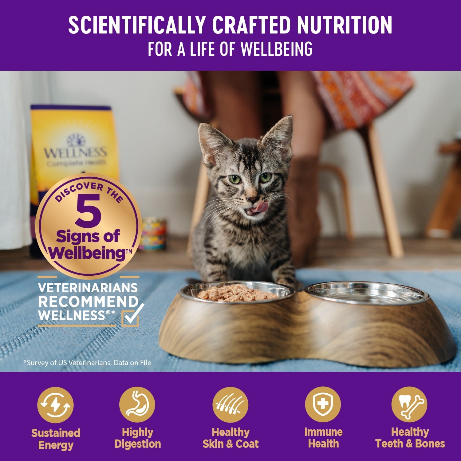 Wellness Complete Health Kitten Wet Cat Food Whitefish & Tuna Entrée, 3oz Can, Pack of 24