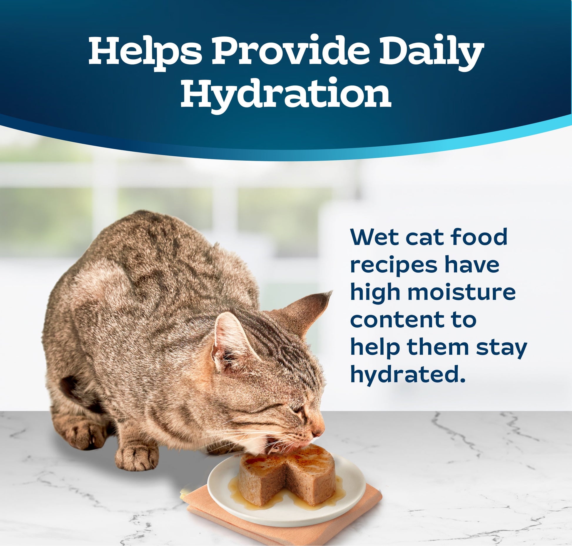 (24 pack) Blue Buffalo Tastefuls Wet Cat Food Paté Salmon Entrée 3-oz. Can