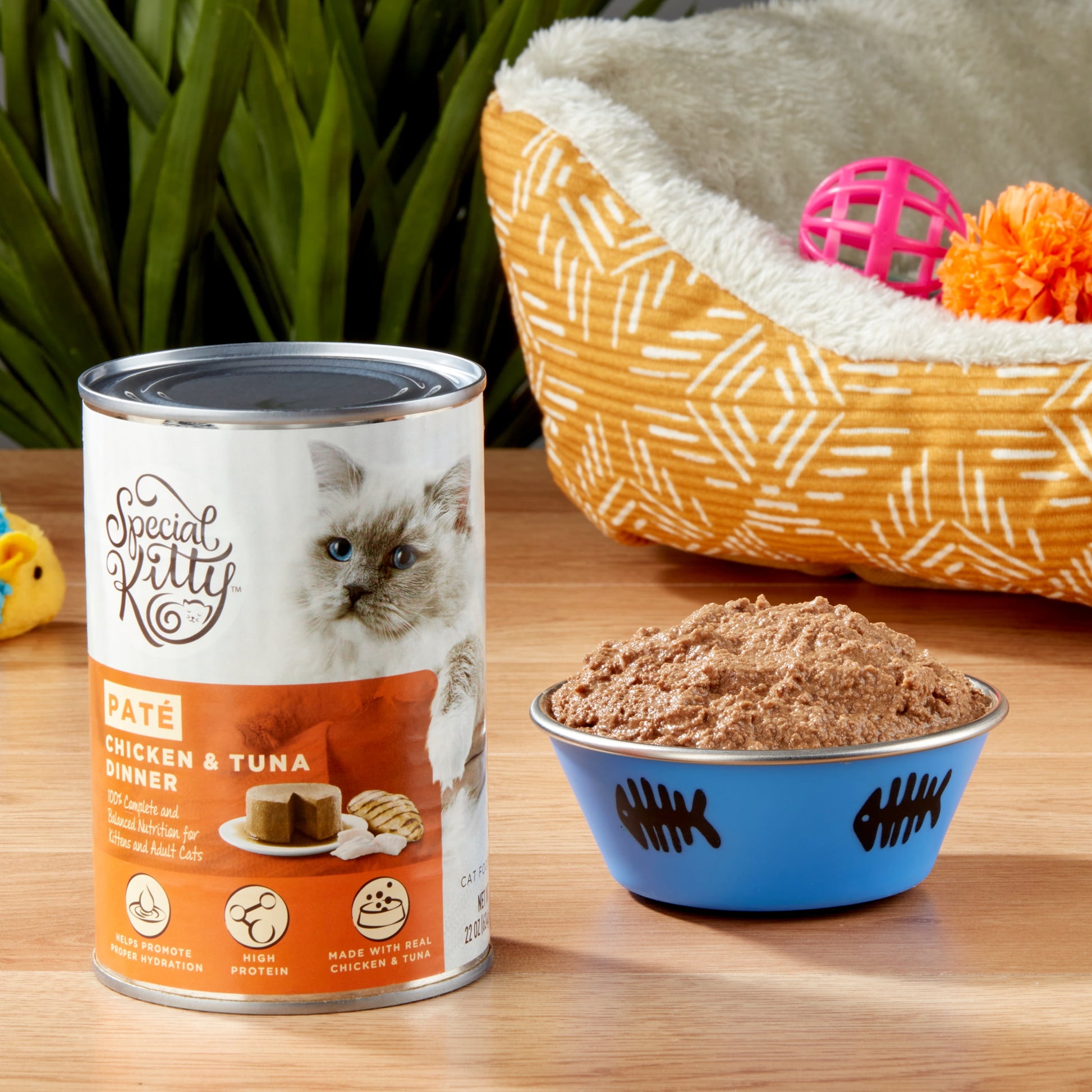 (24 pack) Special Kitty Chicken & Tuna Dinner Pate Wet Cat Food, 22 oz Can
