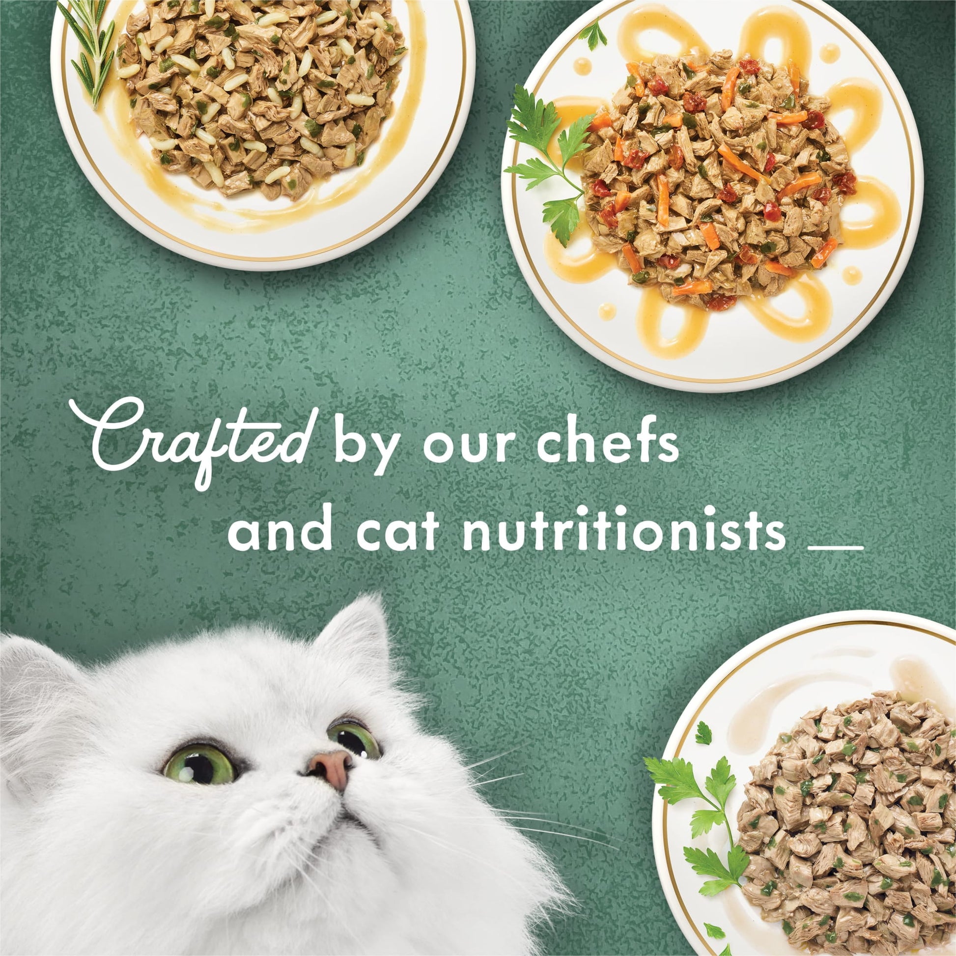 Purina Fancy Feast Medleys Kitten Food, Wet Cat Food, White Meat Chicken , 3 oz Cans (12 Pack)