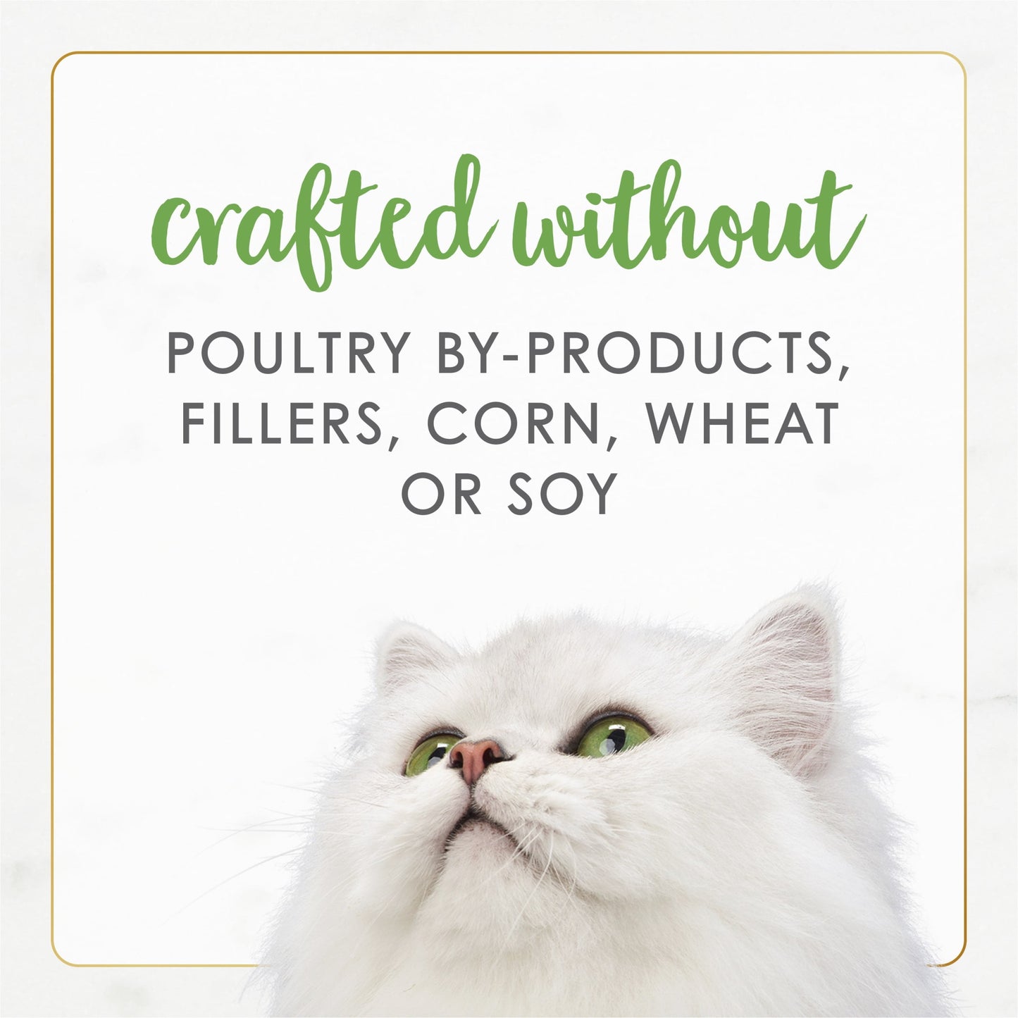 Purina Fancy Feast Gourmet Naturals Wet Cat Food Chicken, Grain-Free, 3 oz Cans (12 Pack)