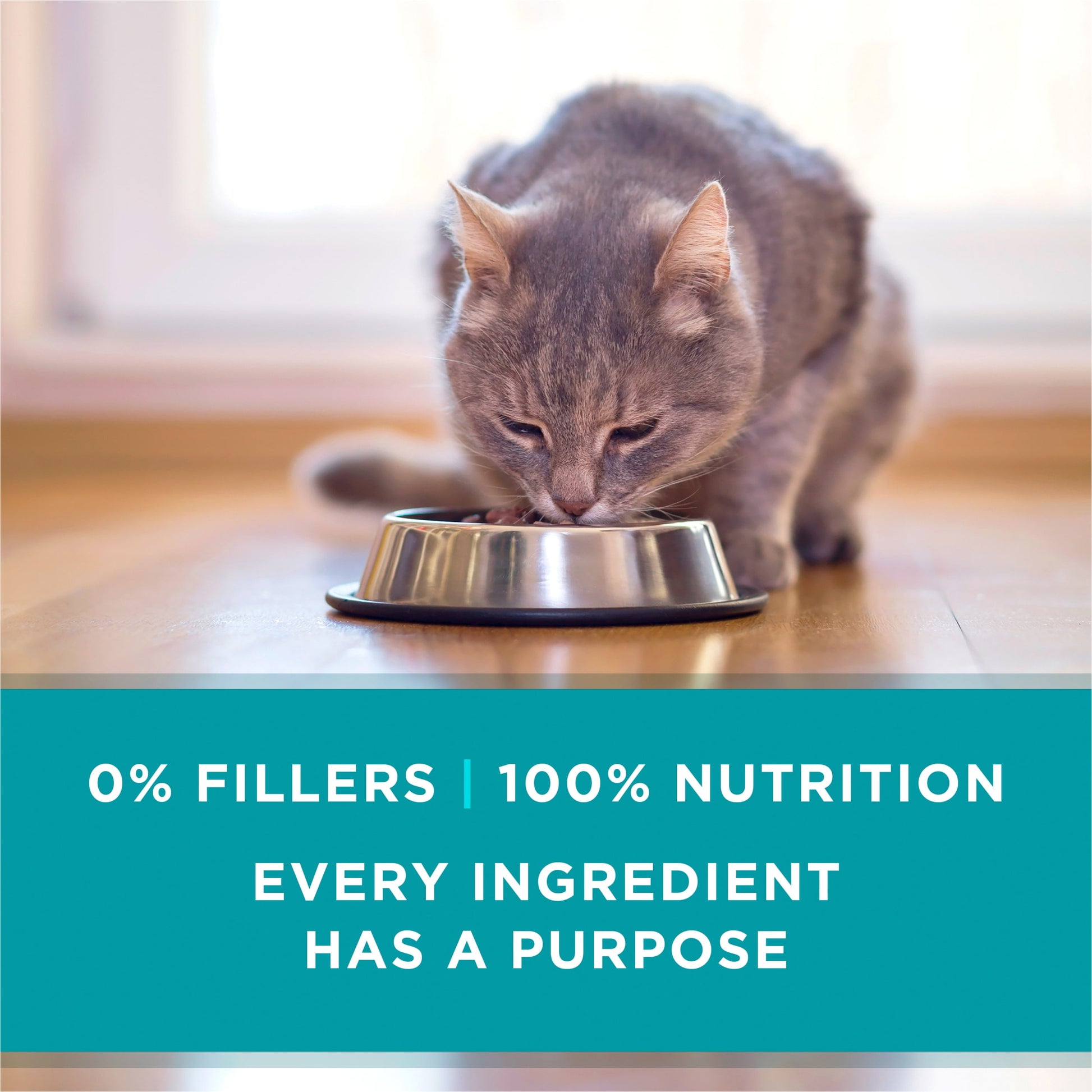 Purina ONE, Natural Grain Free Soft Chicken, Wet Cat Food Pate, 3 oz Cans, 24 Pack