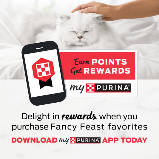 (12 pack) Purina Fancy Feast Kitten Food, Wet Cat Food, Tender Turkey Feast, 3 oz Can