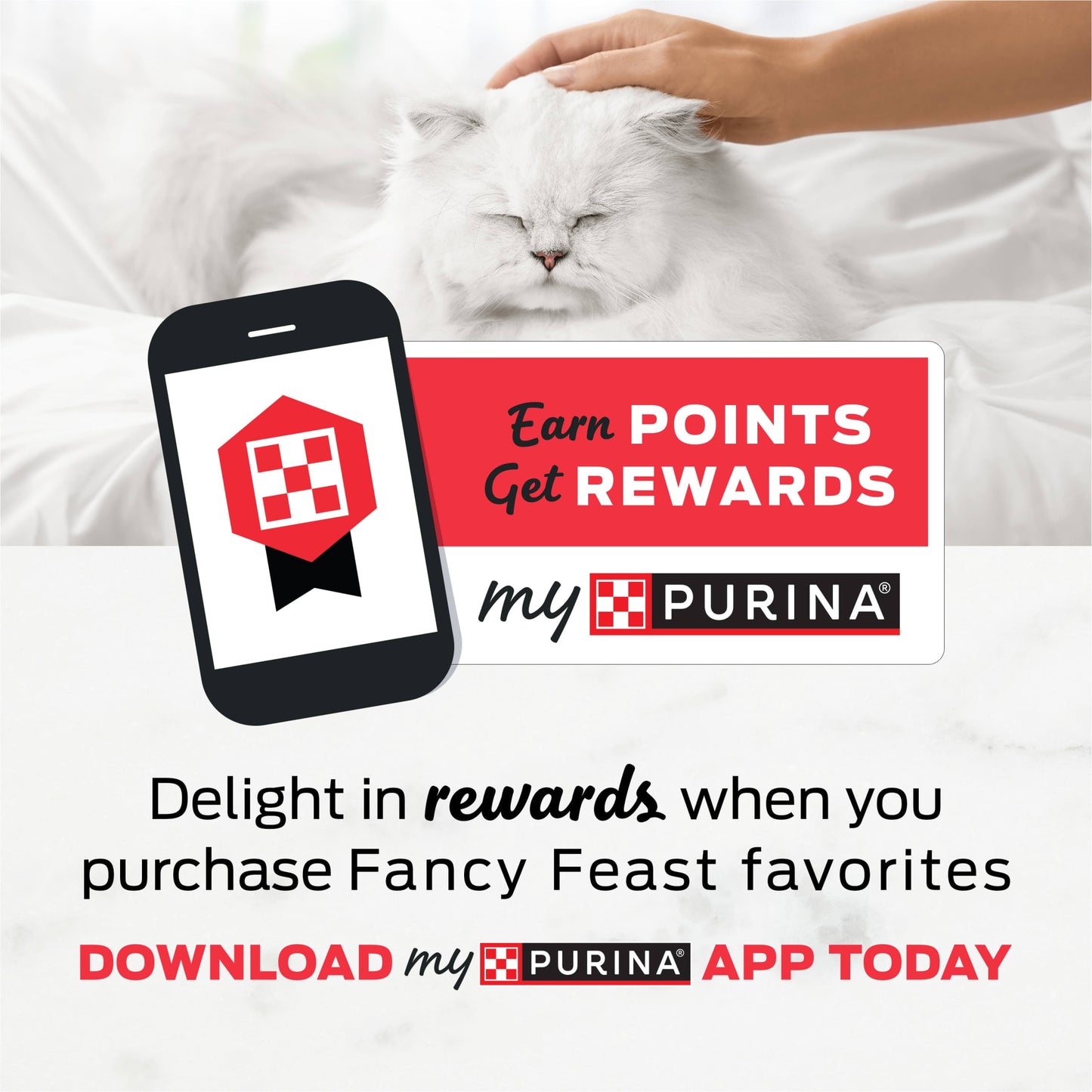 (12 pack) Purina Fancy Feast Classic Pate Kitten Food, Wet Cat Food, Cod, Sole, & Shrimp, 3 oz Can