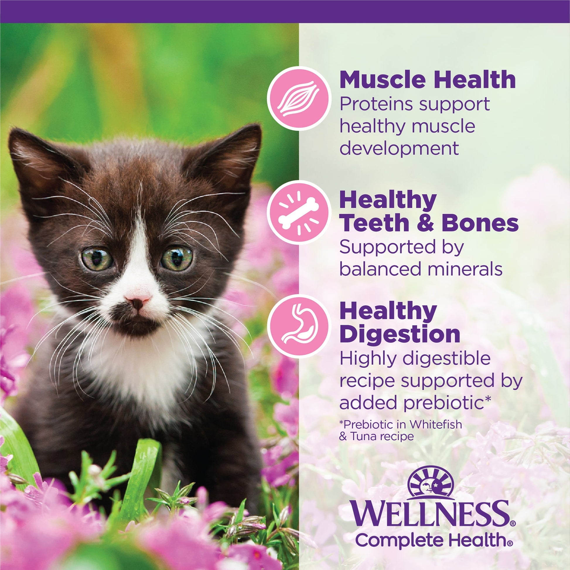 Wellness Complete Health Kitten Wet Cat Food Whitefish & Tuna Entrée, 3oz Can, Pack of 24