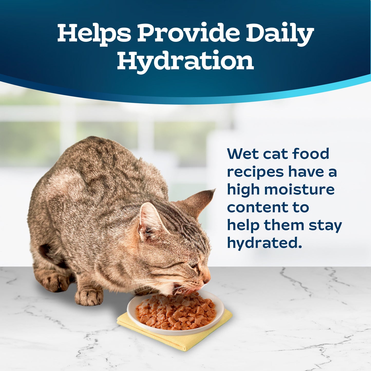 Blue Buffalo Tastefuls Spoonless Wet Cat Food Paté, 2.6-oz. Twin Packs, Chicken & Turkey (12 Ct.)