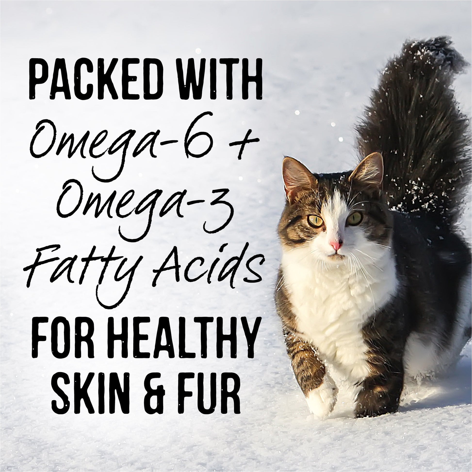 Merrick Backcountry, Variety Pack, Wet Cat Food, 3 oz Pouches, 12 Pack
