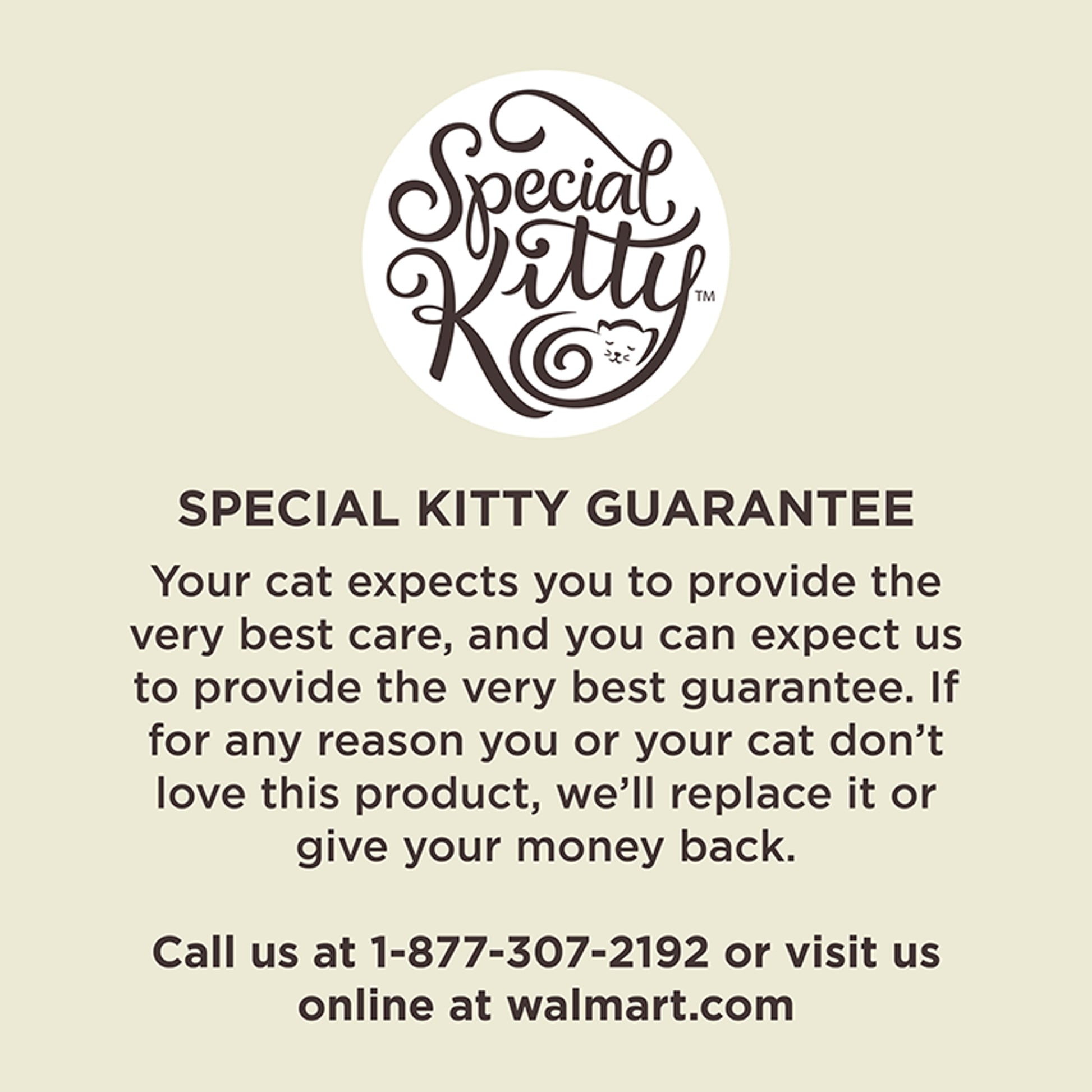 (24 pack) Special Kitty Chicken & Tuna Dinner Pate Wet Cat Food, 22 oz Can
