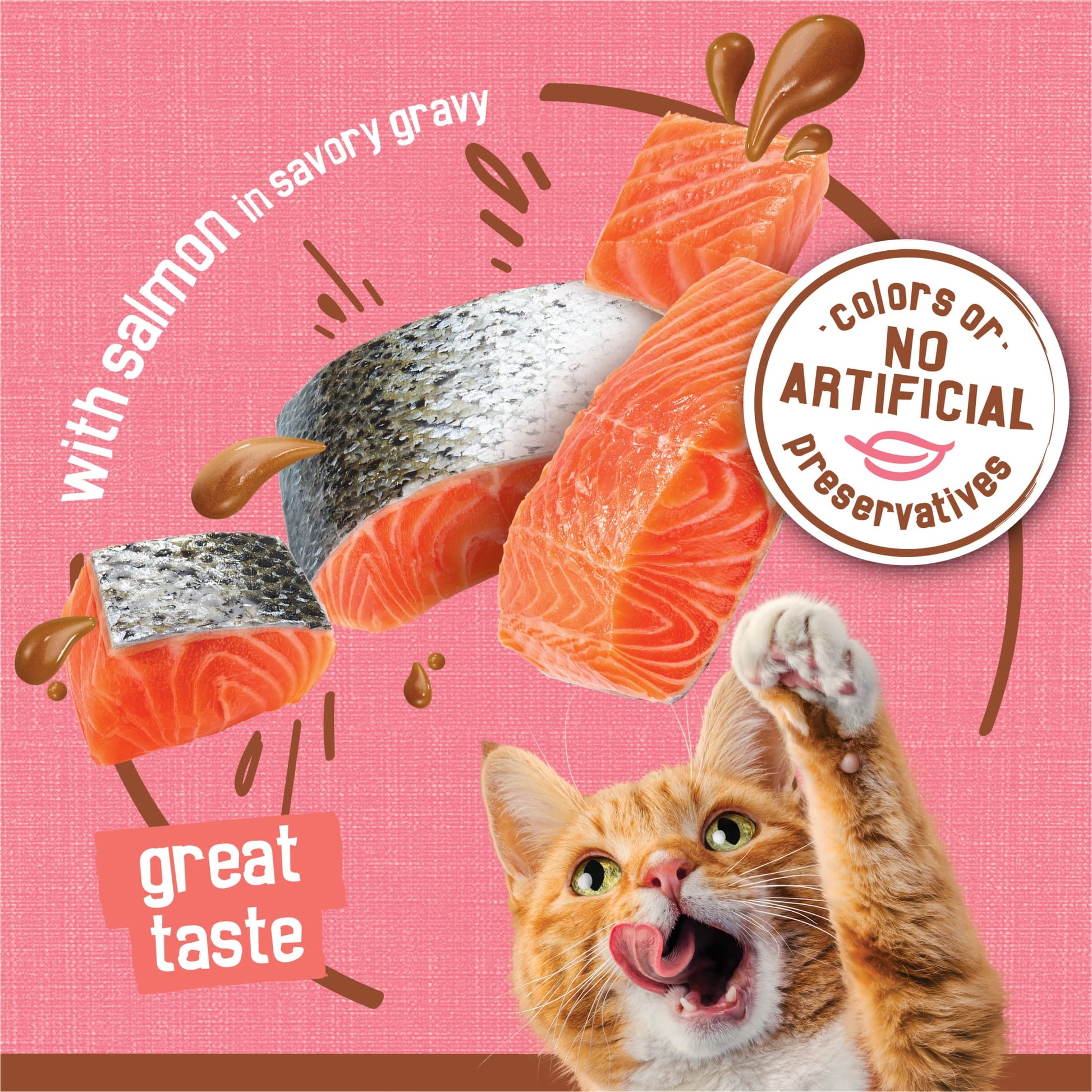 Purina Friskies Extra Gravy Chunky, Soft Salmon, Wet Cat Food, 5.5 oz Can