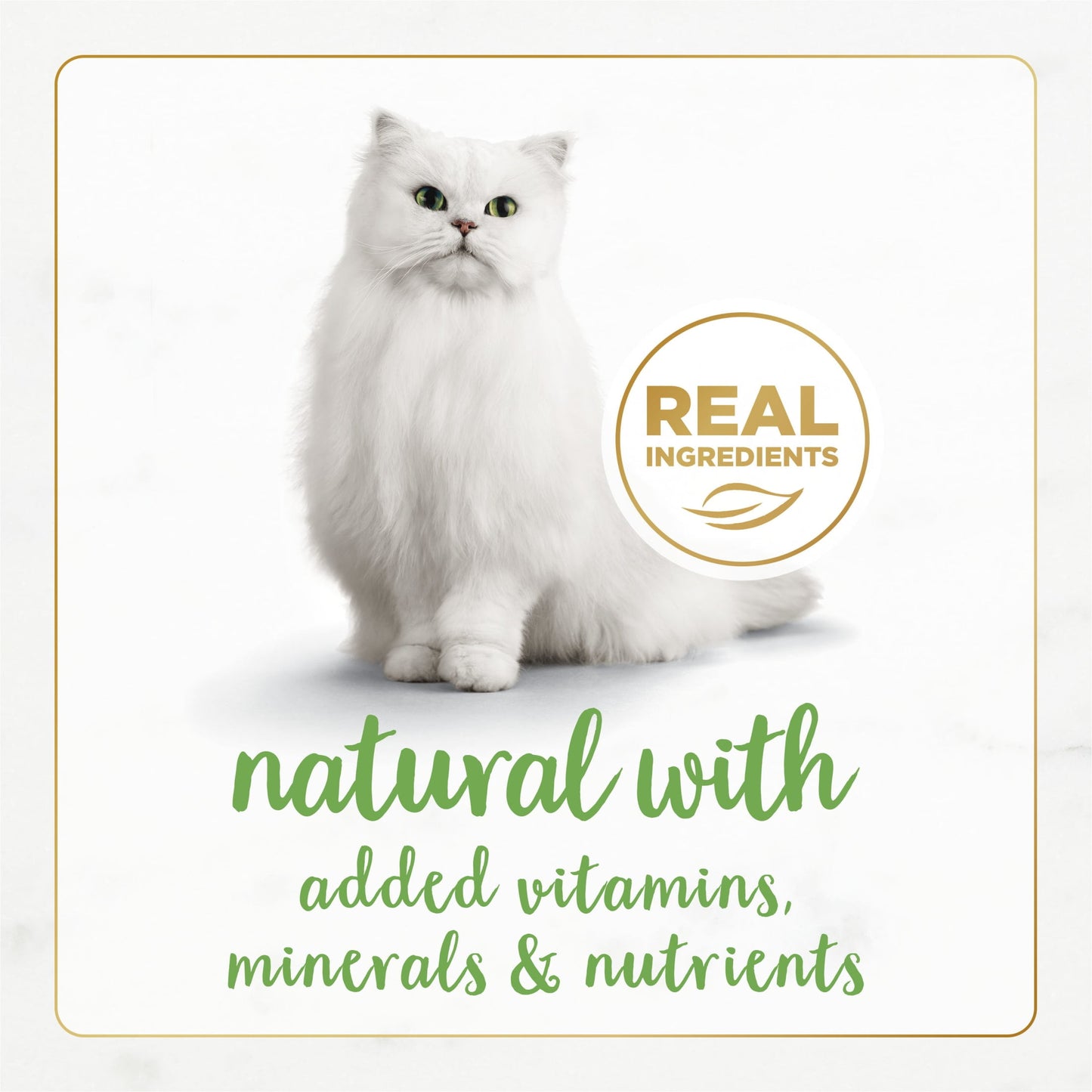 Purina Fancy Feast Gourmet Naturals Wet Cat Food Chicken, Grain-Free, 3 oz Cans (12 Pack)