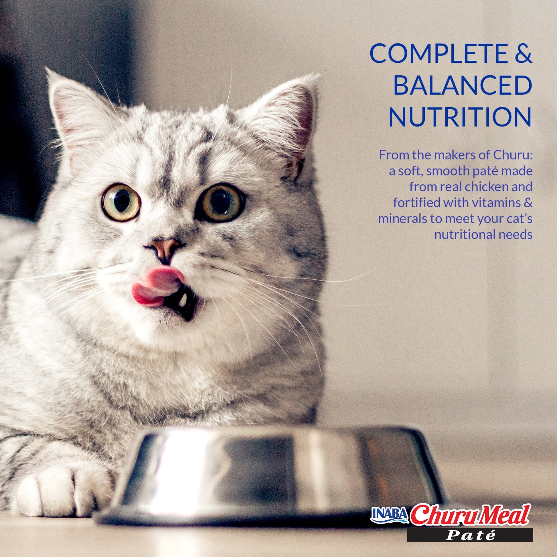 (6 pack) INABA Churu Meal Paté Adult Wet Cat Food, 2.29 oz cup, Chicken Recipe