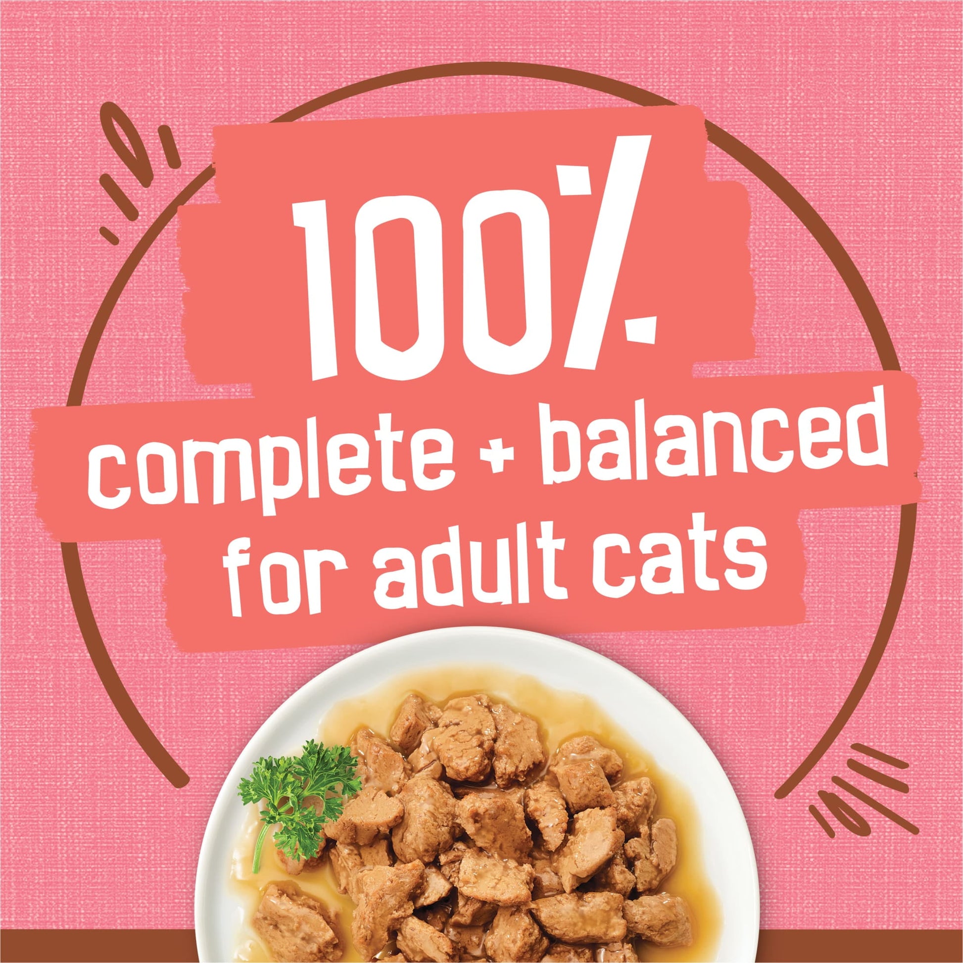 Purina Friskies Extra Gravy Chunky, Soft Salmon, Wet Cat Food, 5.5 oz Can