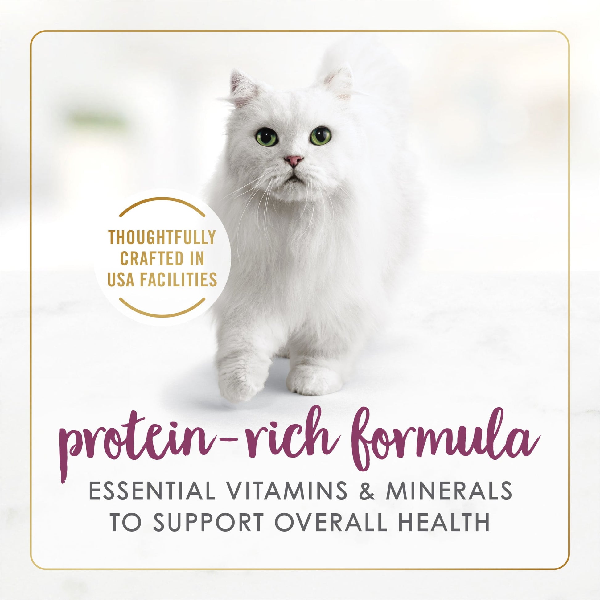 (12 pack) Purina Fancy Feast Grilled Kitten Food, Wet Cat Food, Chicken Feast in Gravy, 3 oz Cans (24 Pack)