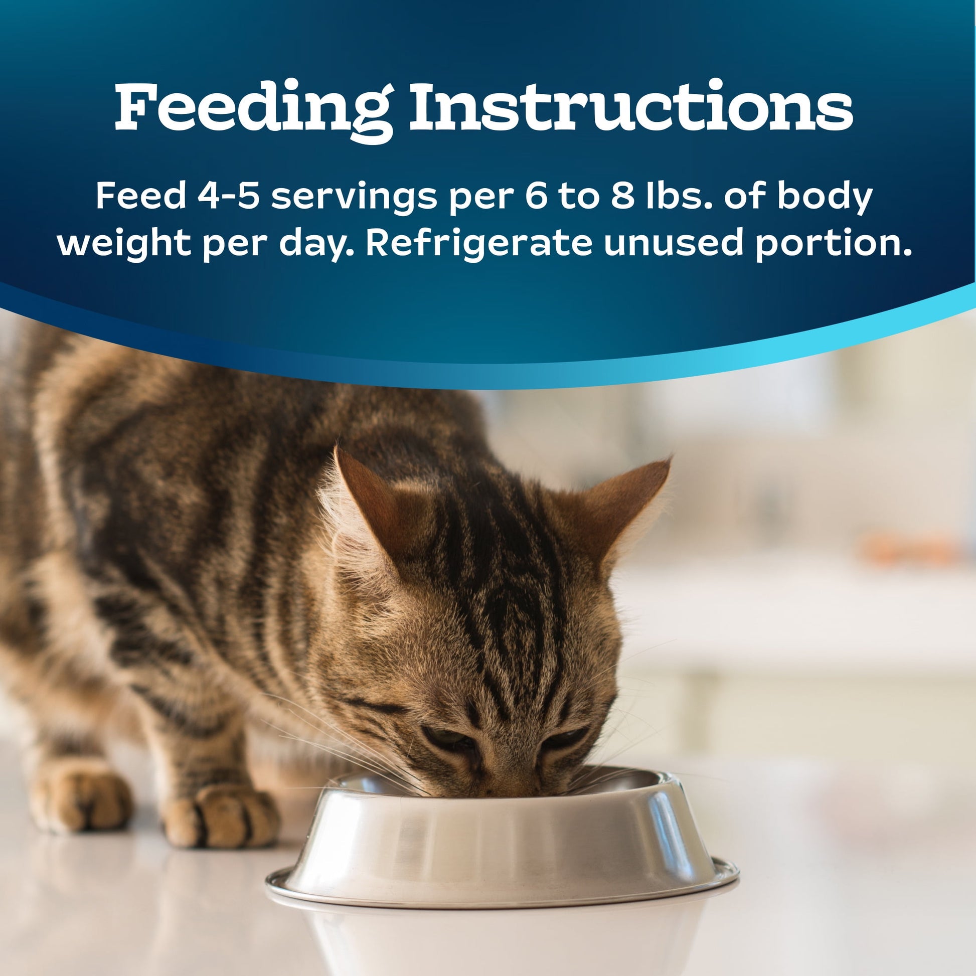 Blue Buffalo Tastefuls Spoonless Singles Turkey Pate Wet Cat Food for Adult Cats, 2.6-oz Twin-Pack Tray
