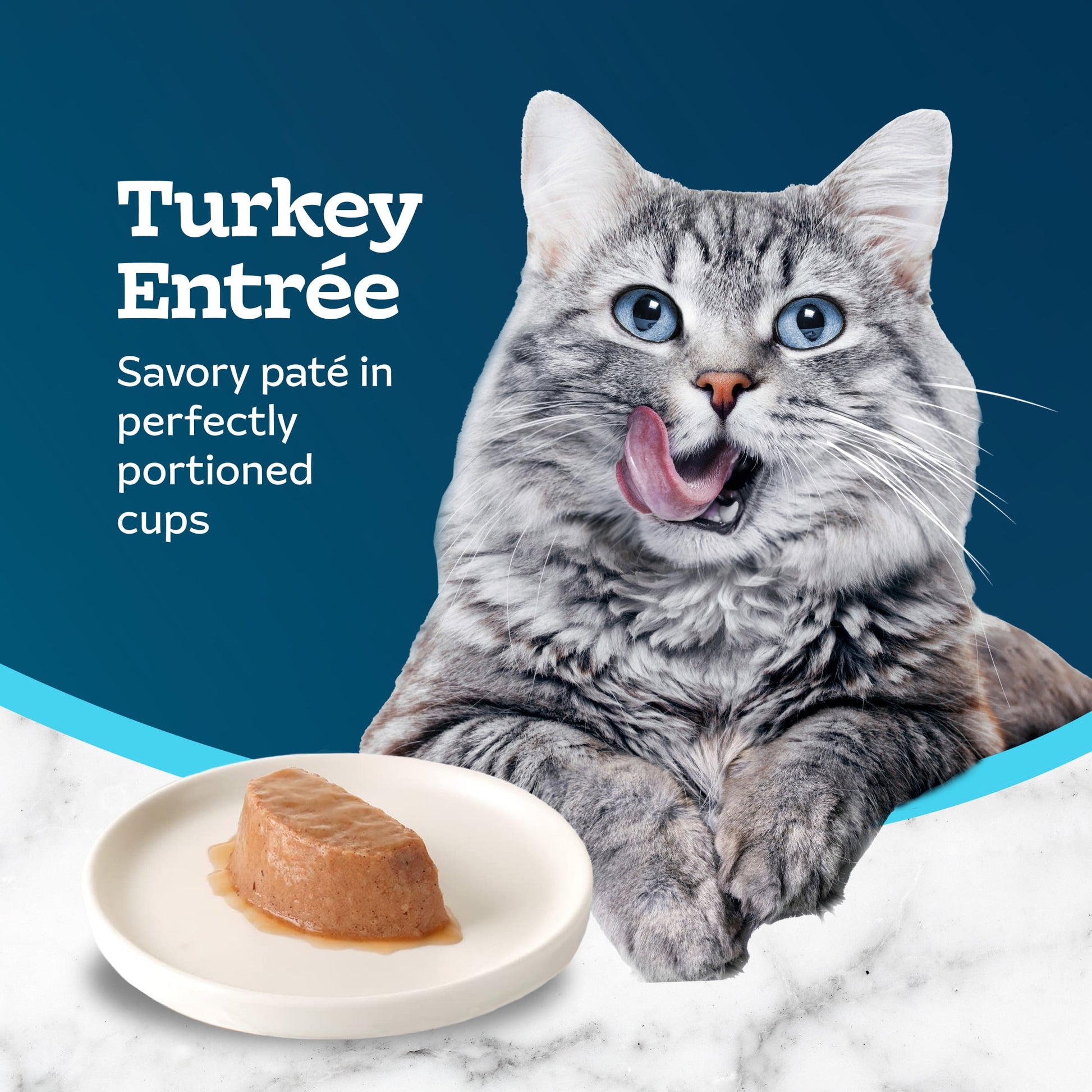 Blue Buffalo Tastefuls Spoonless Singles Turkey Pate Wet Cat Food for Adult Cats, 2.6-oz Twin-Pack Tray