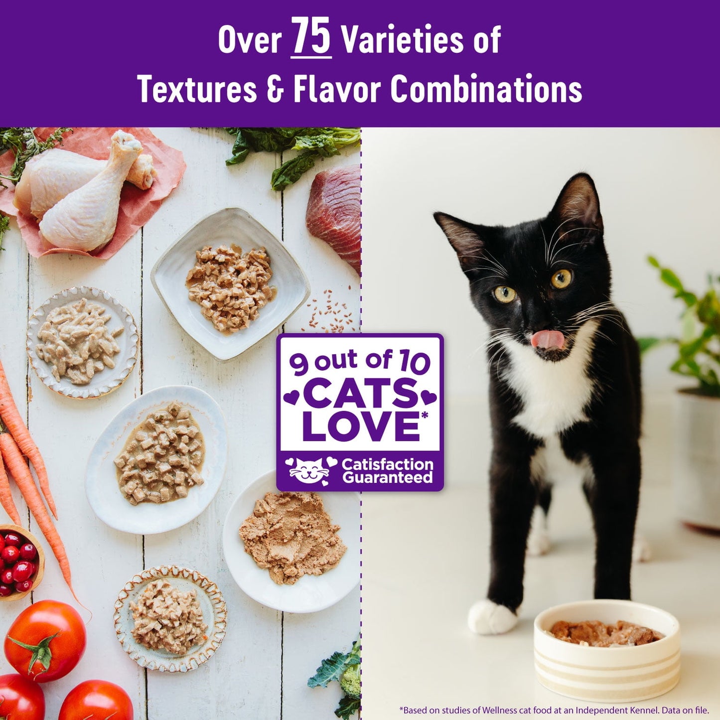 Wellness Complete Health Kitten Wet Cat Food Whitefish & Tuna Entrée, 3oz Can, Pack of 24