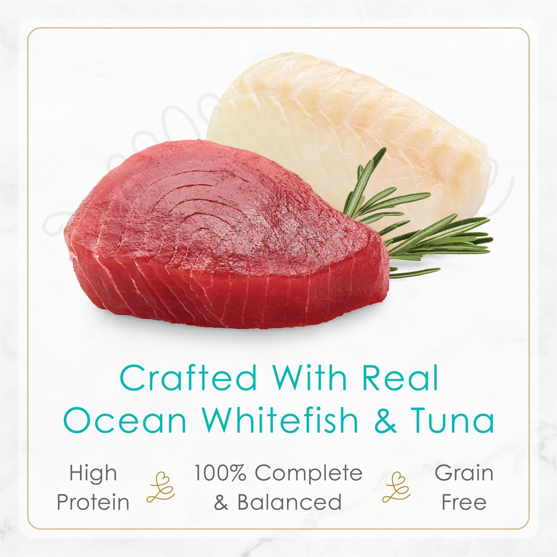 (12 pack) Purina Fancy Feast Petites Ocean Whitefish and Tuna Entrée Gourmet Wet Cat Food Pate
