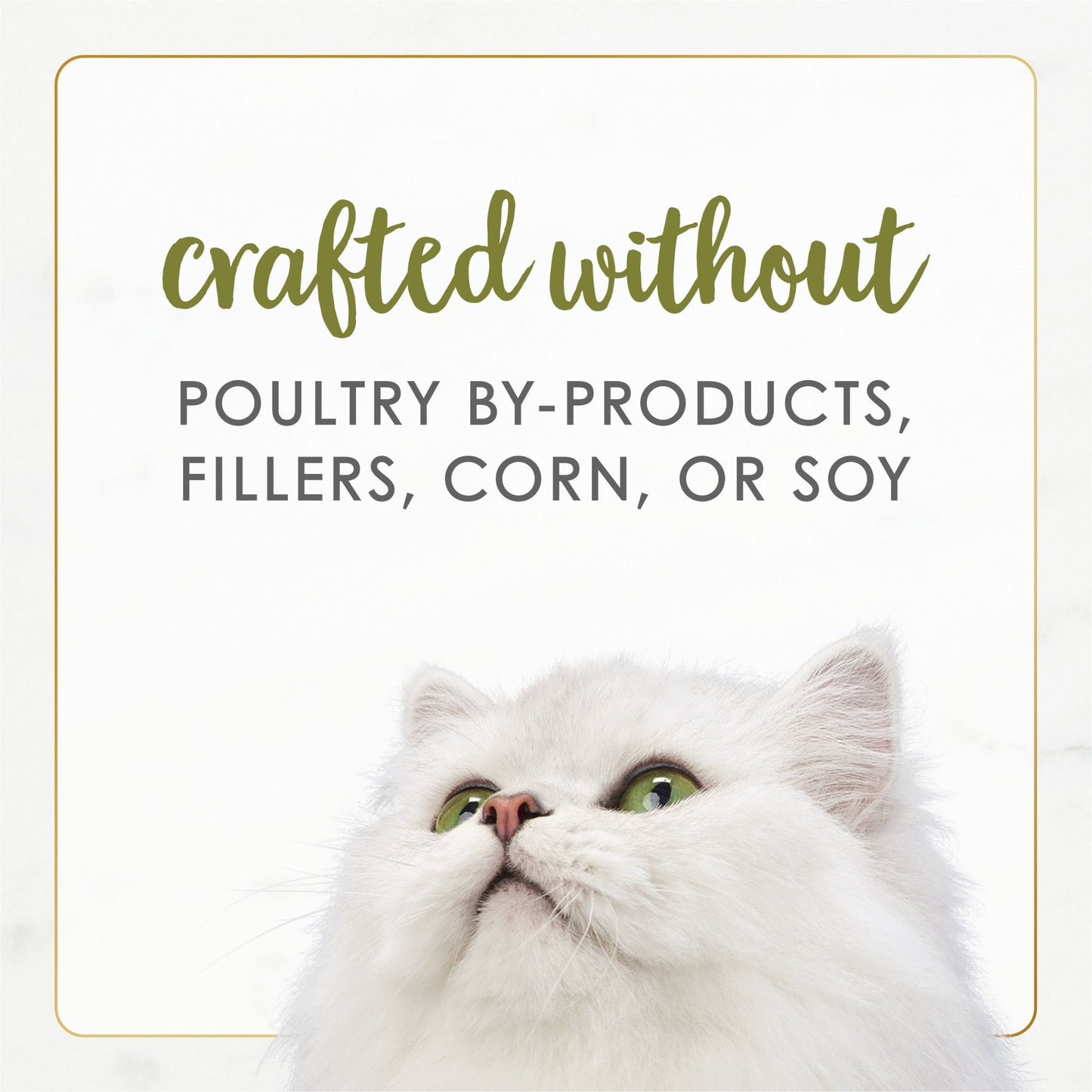 Purina Fancy Feast Gourmet Naturals Wet Cat Food, Chicken in Gravy, 3 oz Cans (12 Pack)