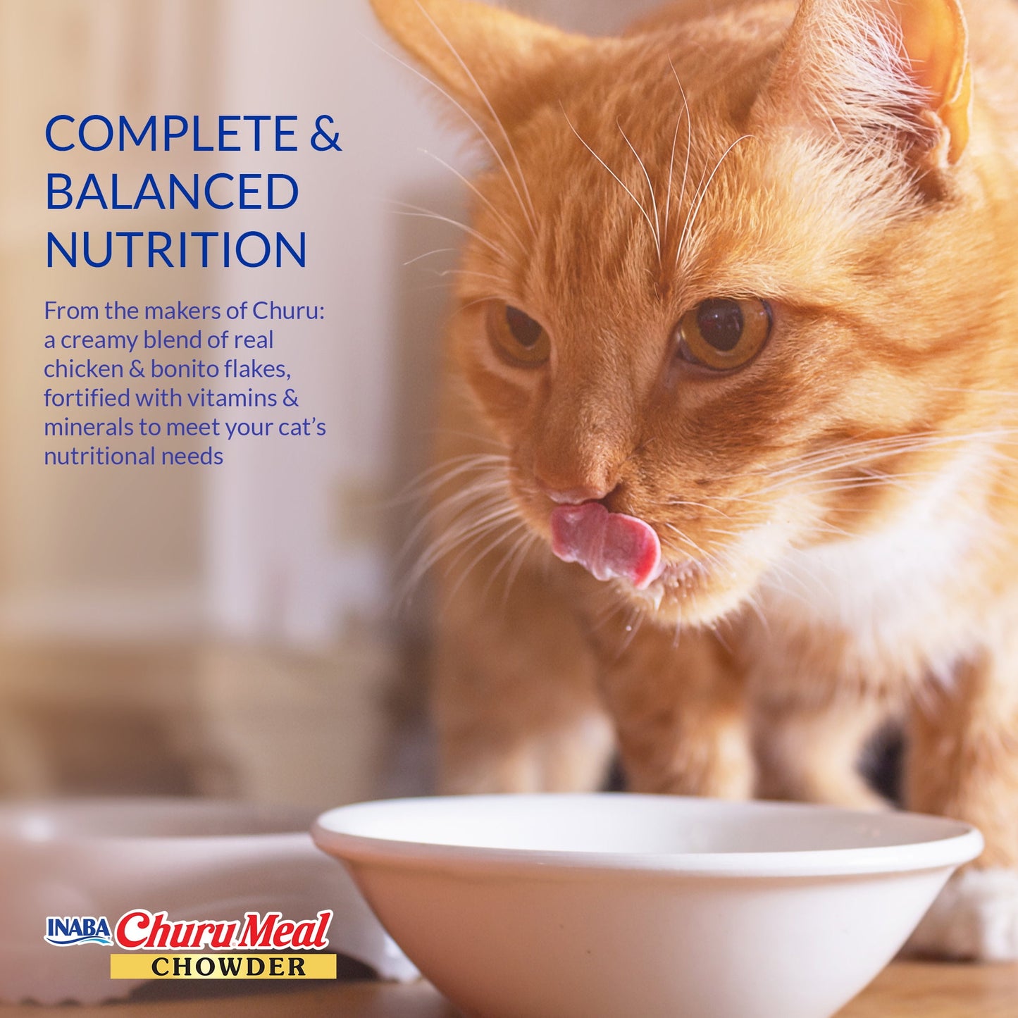 (6 pack) INABA Churu Meal Chowder Adult Wet Cat Food, 2.29 oz cup, Chicken Recipe with Salmon Flavor