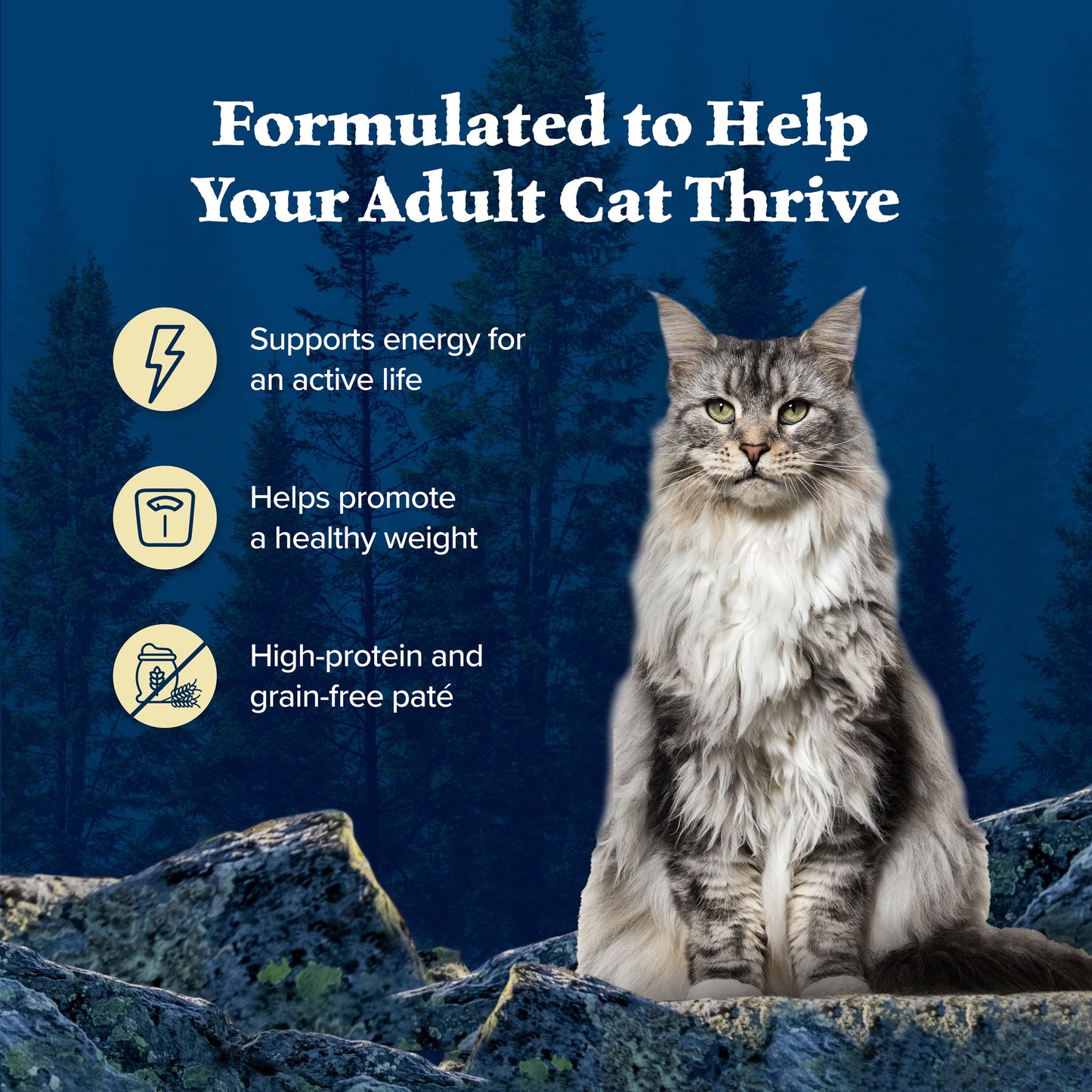 Blue Buffalo Wilderness High Protein, Natural Adult Pate Wet Cat Food Variety Pack (24 Count- 8 of Each Flavor)