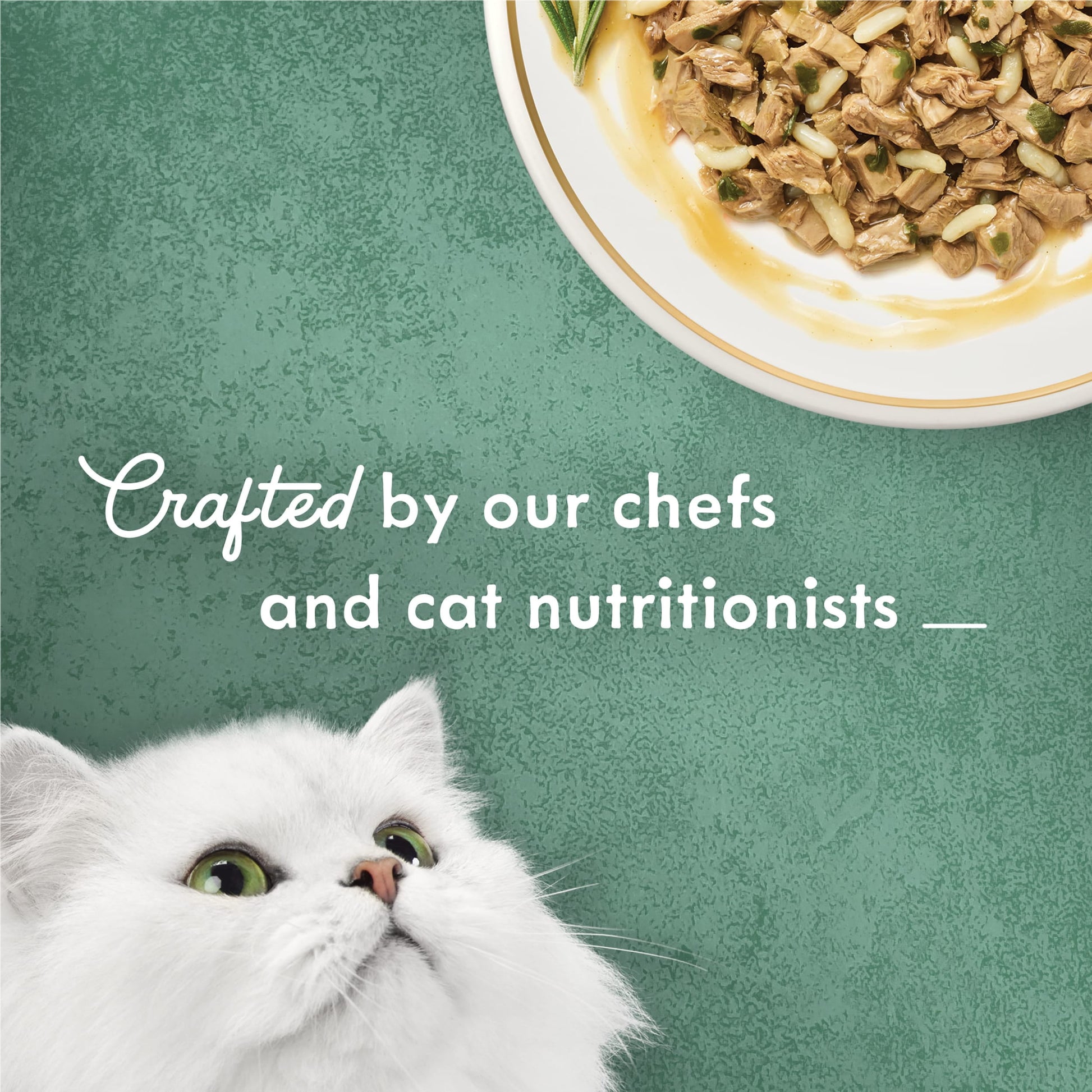 (6 pack) Purina Fancy Feast Medleys Kitten Food, Wet Cat Food, White Meat Chicken & Rice, 3 oz Can