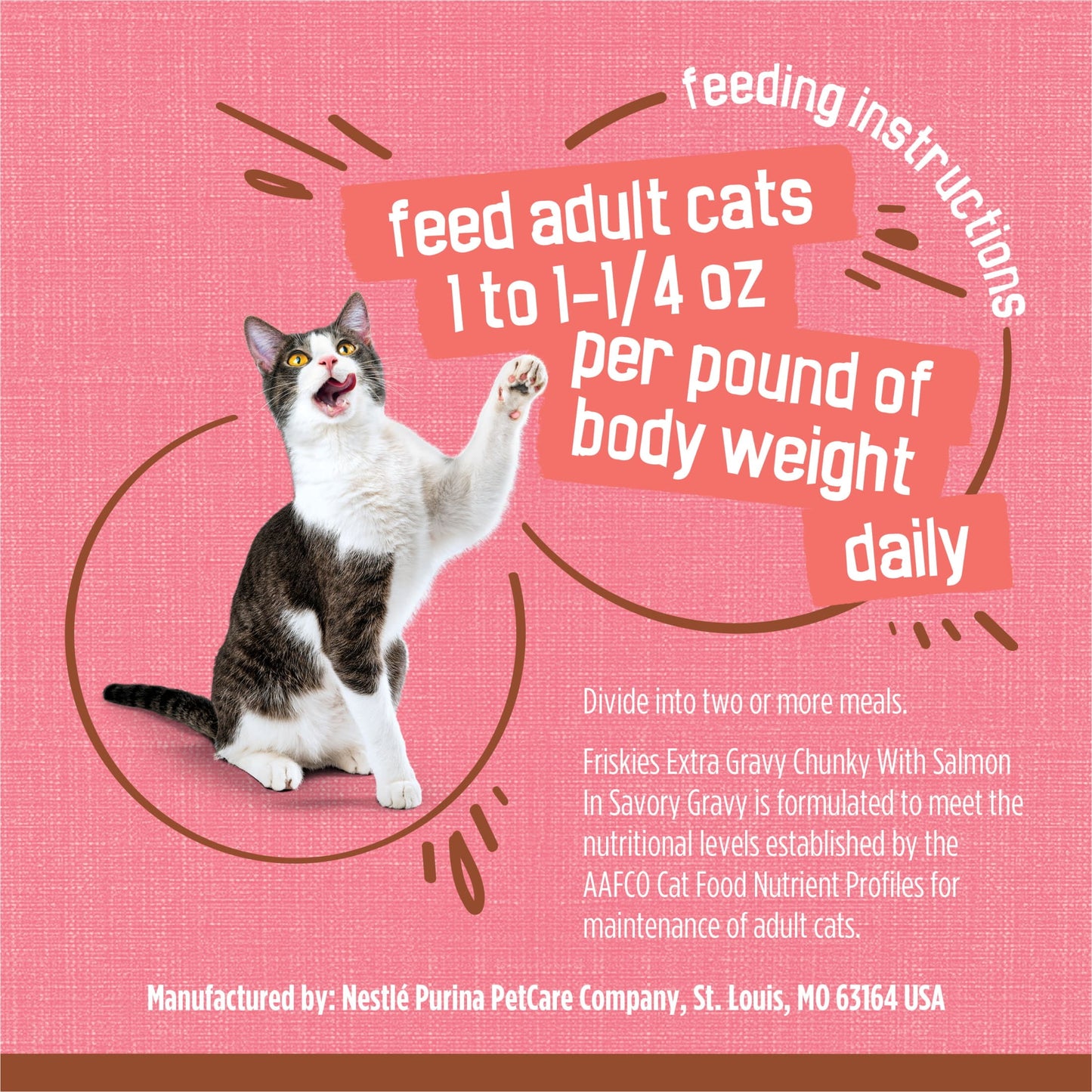 Purina Friskies Extra Gravy Chunky, Soft Salmon, Wet Cat Food, 5.5 oz Can