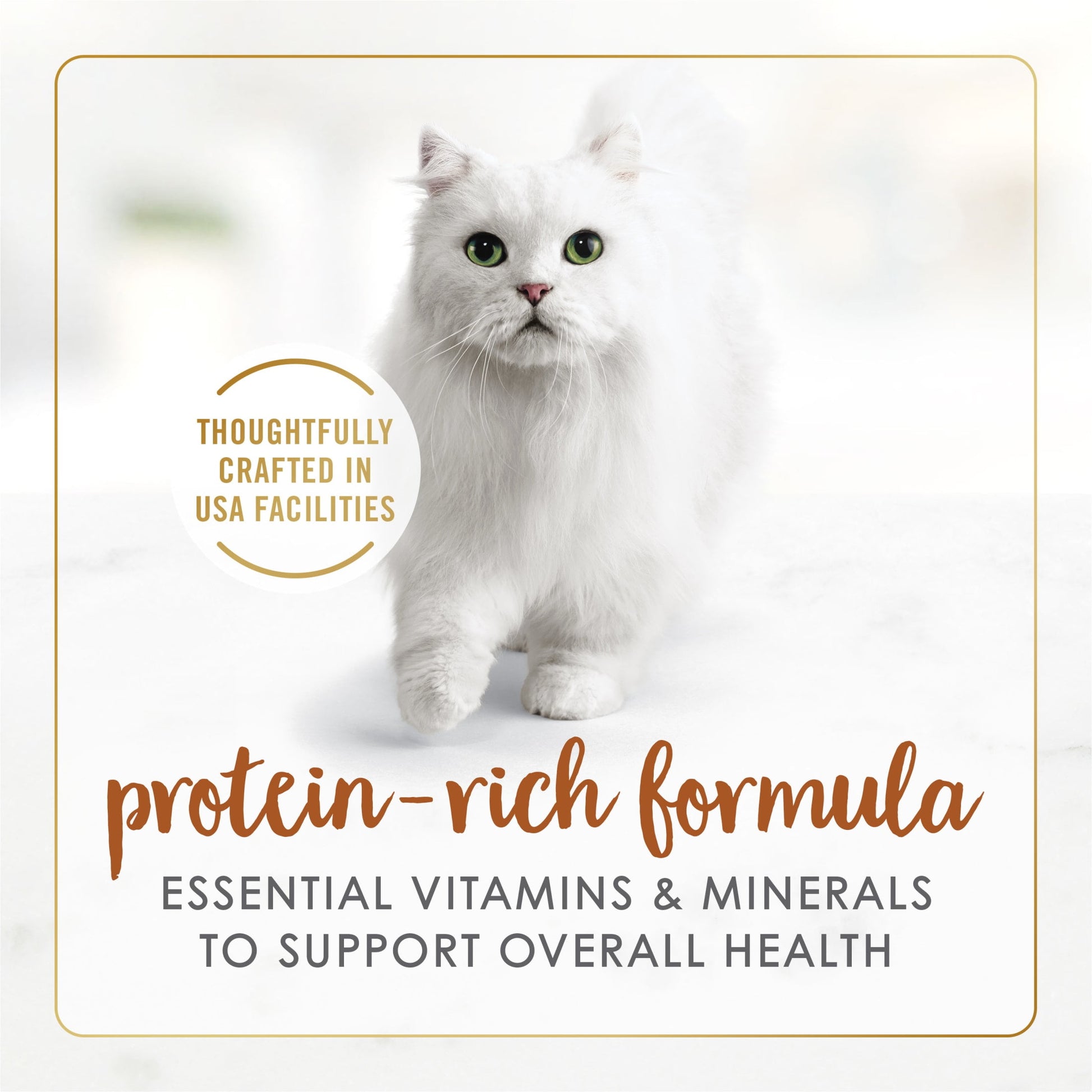 (12 pack) Purina Fancy Feast Grilled Kitten Food, Wet Cat Food, Liver & Chicken Feast in Gravy, 3 oz Can